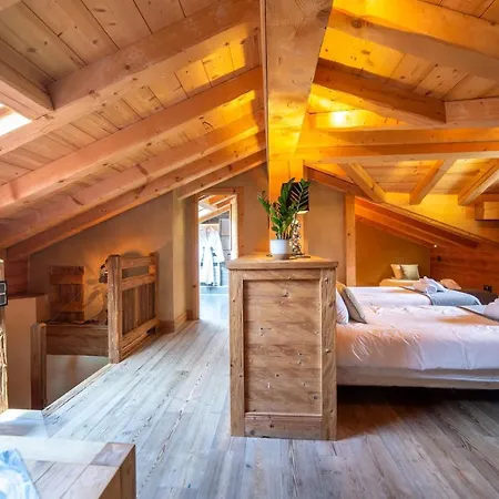 Le Bucher D'albert * La Plagne
